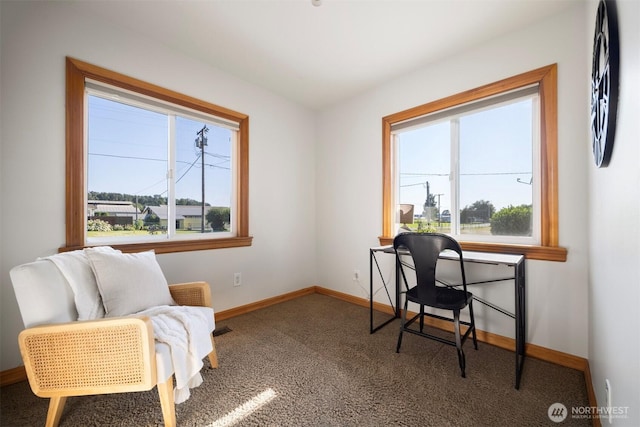 17219 Calhoun Rd, Mount Vernon, WA 98273 - photo 14