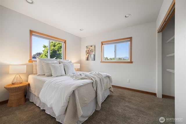 17219 Calhoun Rd, Mount Vernon, WA 98273 - photo 10