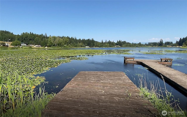 2005 252nd St NW, Stanwood, WA 98292 - photo 29