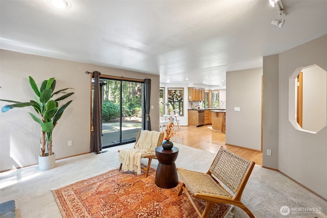 6162 Troon Ave SW, Port Orchard, WA 98367 - photo 18