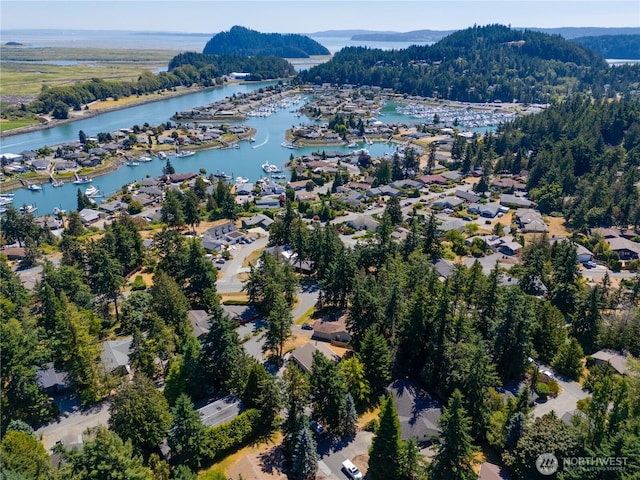 399 Tilingit Pl, La Conner, WA 98257 - photo 1