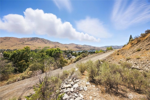 325 E Highland Ave, Chelan, WA 98816 - photo 4
