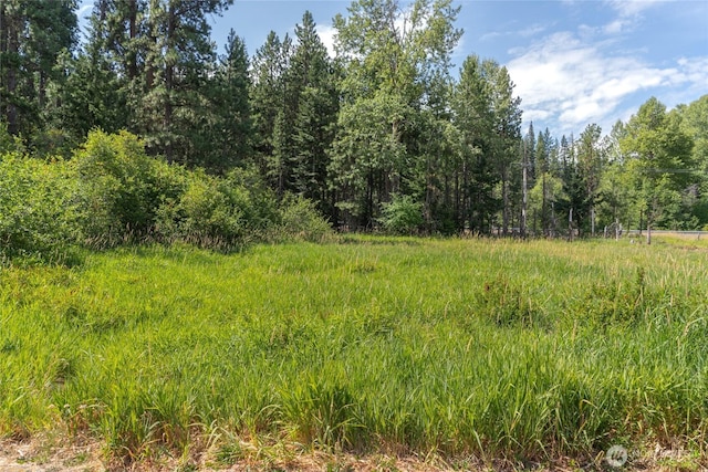 10LOT Nelson Siding Rd, Cle Elum, WA 98922 - photo 4