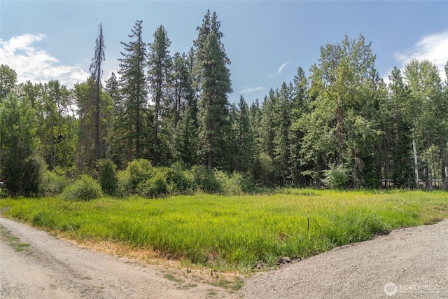 10LOT Nelson Siding Rd, Cle Elum, WA 98922 - photo 5