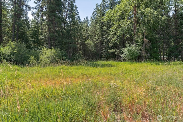 10LOT Nelson Siding Rd, Cle Elum, WA 98922 - photo 6