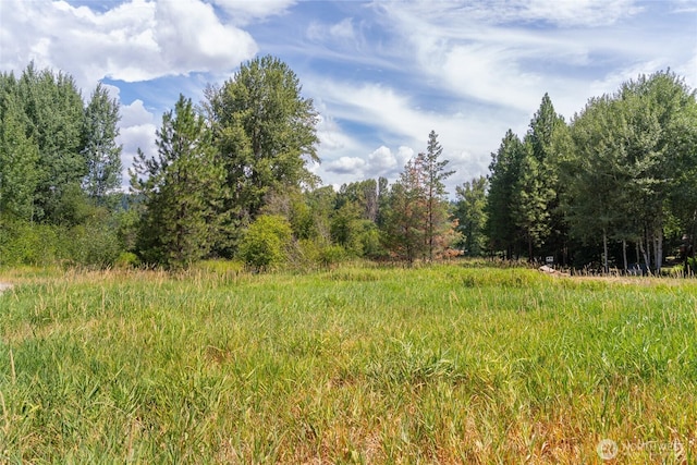 10LOT Nelson Siding Rd, Cle Elum, WA 98922 - photo 7