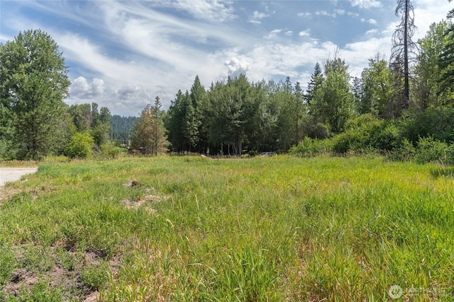 10LOT Nelson Siding Rd, Cle Elum, WA 98922 - photo 8