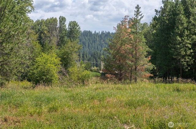10LOT Nelson Siding Rd, Cle Elum, WA 98922 - photo 9