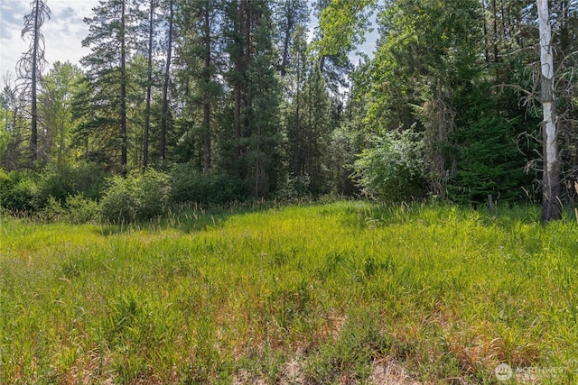 10LOT Nelson Siding Rd, Cle Elum, WA 98922 - photo 10