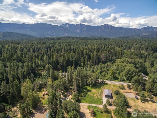 10LOT Nelson Siding Rd, Cle Elum, WA 98922 - photo 17