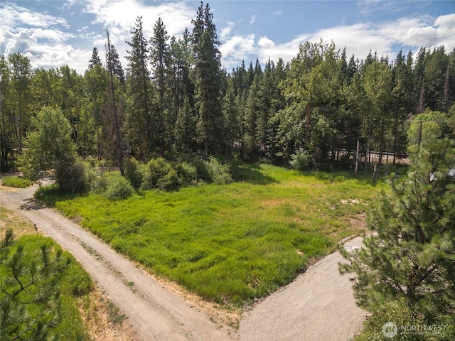 10LOT Nelson Siding Rd, Cle Elum, WA 98922 - photo 18