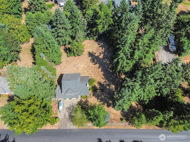 8215 242nd St E, Graham, WA 98338 - photo 31
