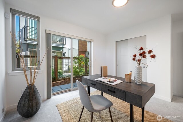 630 NW 85th St Unit A, Seattle, WA 98117 - photo 16