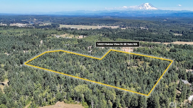 14831 Rainier View Dr SE, Yelm, WA 98597 - photo 32