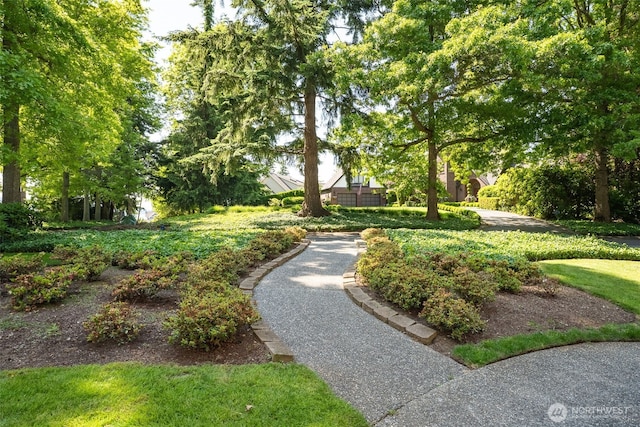 4 Shorewood Dr, Bellingham, WA 98225 - photo 6