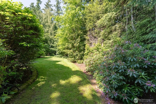 4 Shorewood Dr, Bellingham, WA 98225 - photo 38
