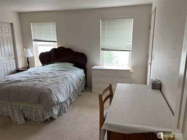 1160 Monroe Ave NE Unit C1, Renton, WA 98056 - photo 11