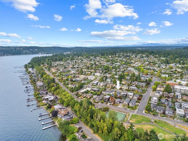 219 5th Ave W, Kirkland, WA 98033 - photo 27