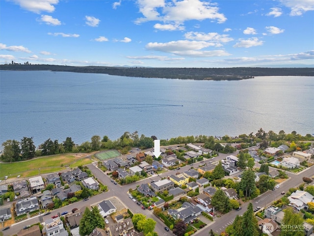 219 5th Ave W, Kirkland, WA 98033 - photo 30