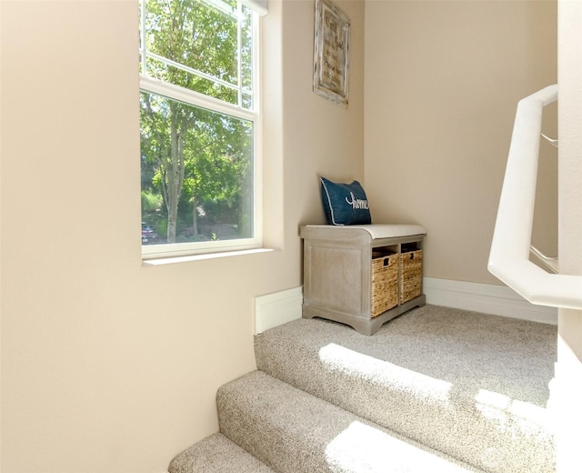 12507 172nd St E Unit Ll205, Puyallup, WA 98374 - photo 3