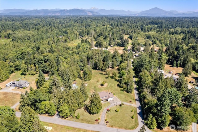 11729 81st Ave NE, Marysville, WA 98271 - photo 40
