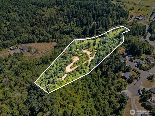 179 Halliday Rd, Centralia, WA 98531 - photo 26