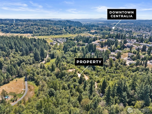 179 Halliday Rd, Centralia, WA 98531 - photo 33