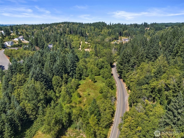 179 Halliday Rd, Centralia, WA 98531 - photo 38