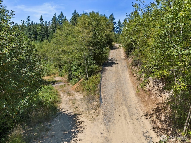 179 Halliday Rd, Centralia, WA 98531 - photo 40