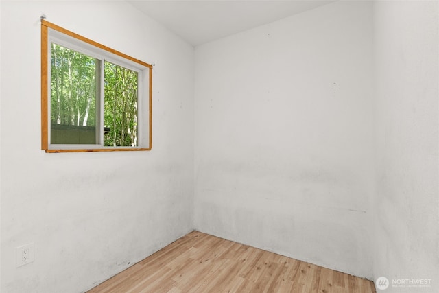 179 Halliday Rd, Centralia, WA 98531 - photo 24