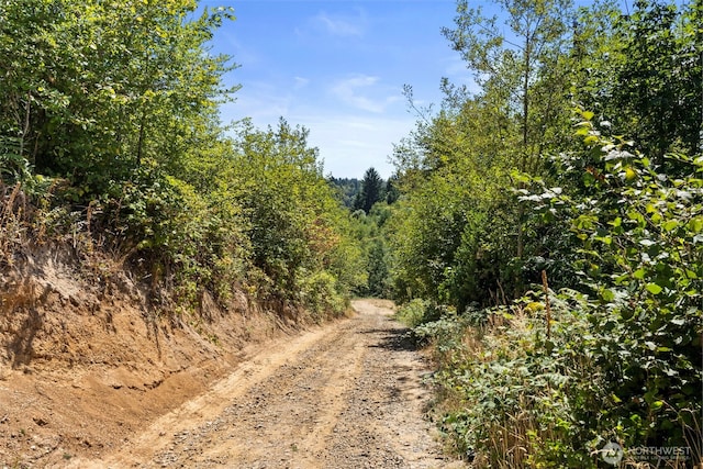 179 Halliday Rd, Centralia, WA 98531 - photo 7
