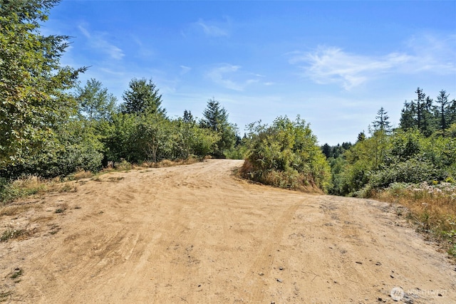 179 Halliday Rd, Centralia, WA 98531 - photo 10