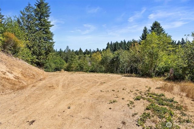 179 Halliday Rd, Centralia, WA 98531 - photo 9