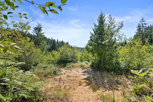 179 Halliday Rd, Centralia, WA 98531 - photo 13