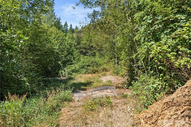 179 Halliday Rd, Centralia, WA 98531 - photo 14