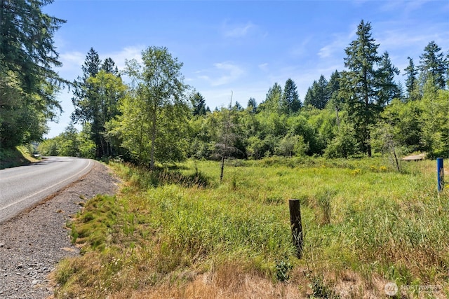 179 Halliday Rd, Centralia, WA 98531 - photo 4