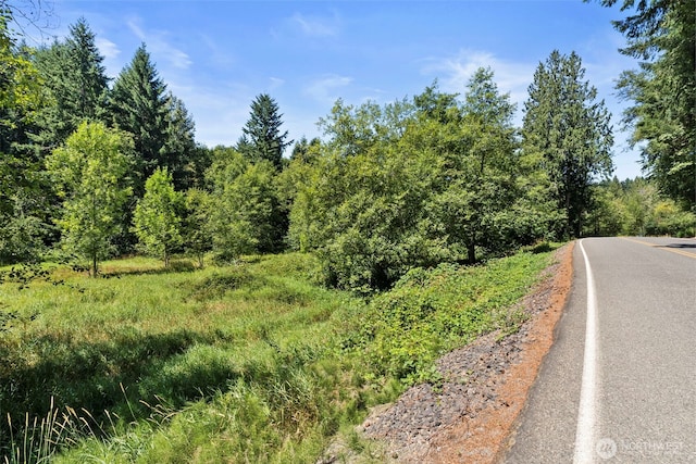 179 Halliday Rd, Centralia, WA 98531 - photo 3