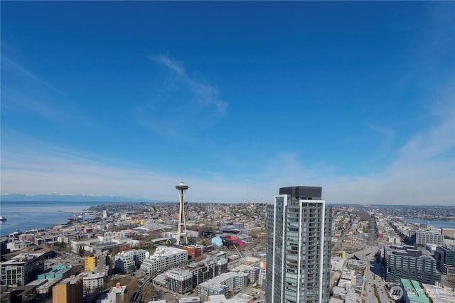 583 Battery St Unit 704N, Seattle, WA 98121 - photo 29