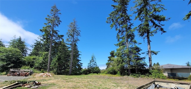 2803 231st Ln, Ocean Park, WA 98640 - photo 38