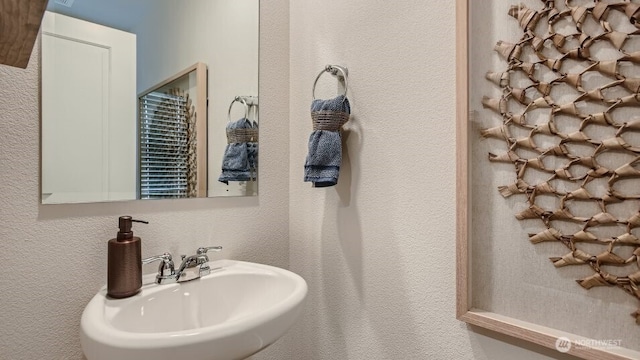 14026 198th St E, Graham, WA 98338 - photo 10