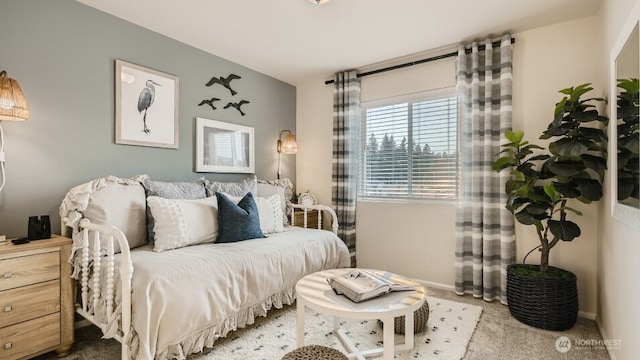 14026 198th St E, Graham, WA 98338 - photo 12