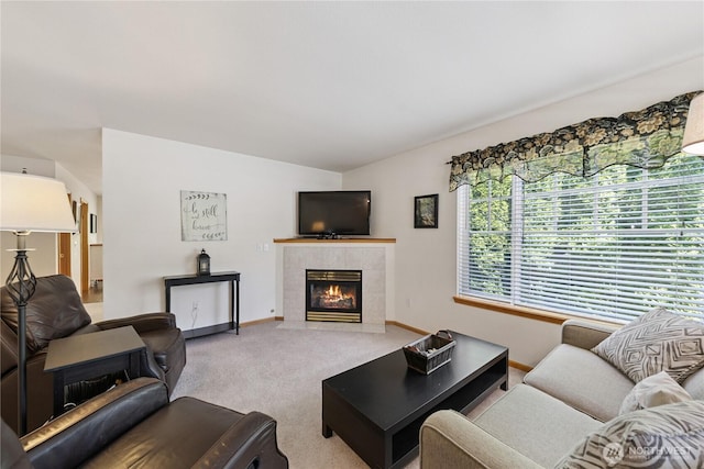 4001 Dogwood Pl, Mount Vernon, WA 98274 - photo 3