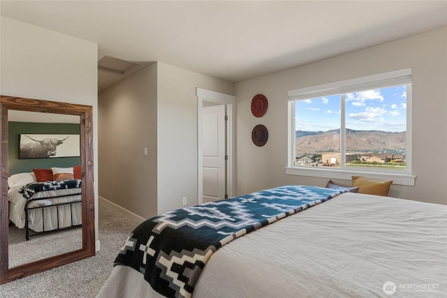 2243 S Mystical Loop, East Wenatchee, WA 98802 - photo 30