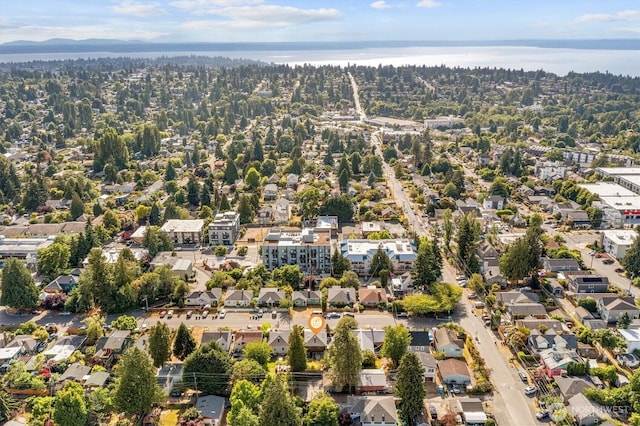 9740 Phinney Ave N, Seattle, WA 98103 - photo 35