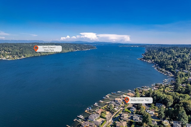 3810 NE 155th St, Lake Forest Park, WA 98155 - photo 38