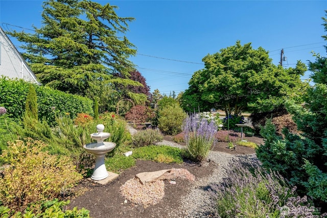 410 Alverson Blvd, Everett, WA 98201 - photo 4