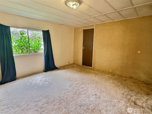 6800 Jim Ln, Long Beach, WA 98631 - photo 10