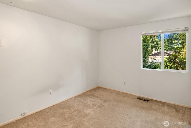 14076 117th Ave NE, Kirkland, WA 98034 - photo 13