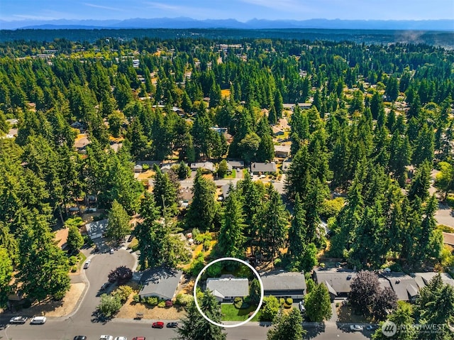 14076 117th Ave NE, Kirkland, WA 98034 - photo 24