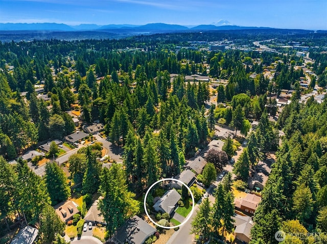 14076 117th Ave NE, Kirkland, WA 98034 - photo 25